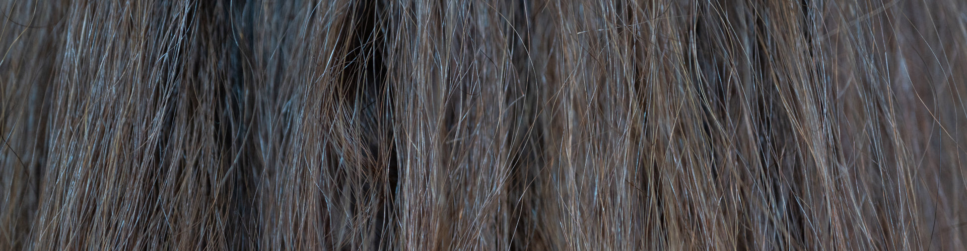 Shop by concern - Dry, Itchy, Flaky scalp