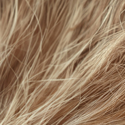 Illustration of pre-lightened damaged hair, highlighting brittleness, dryness, and the need for repair and nourishment.