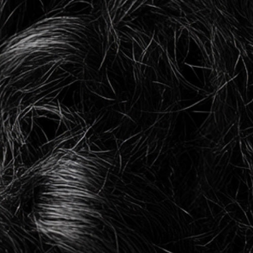 Curl Maintenance Banner: Keep your curls defined, hydrated, and frizz-free for a long-lasting, bouncy, and healthy look.